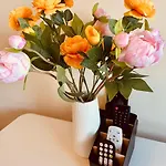 Homestay - I Komfortowe *