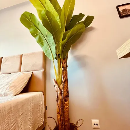 Ubytování v soukromí Pokoje Gliwice - Apartament I Komfortowe Noclegi *