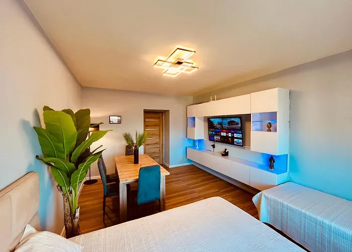 Ubytování v soukromí Pokoje Gliwice - Apartament I Komfortowe Noclegi Hlivice