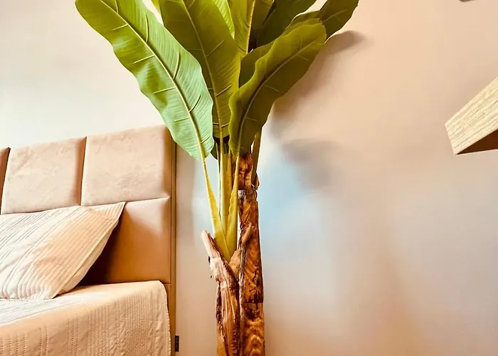 Homestay - I Komfortowe *