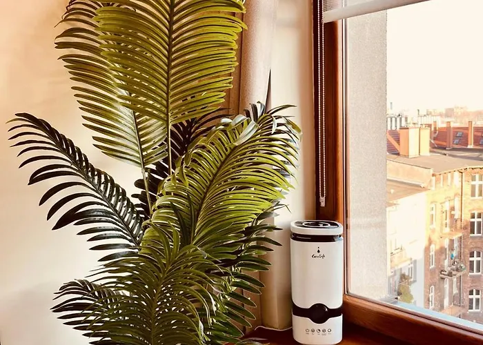 - I Komfortowe Homestay *